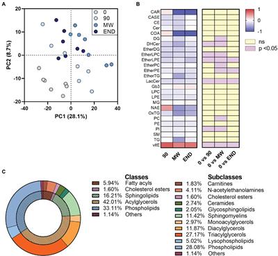 Inside the Alterations of Circulating Metabolome in Frontiers